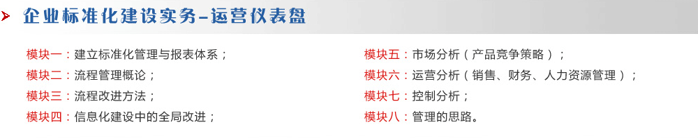 企業(yè)標(biāo)準(zhǔn)化建設(shè)實務(wù)-運營儀表盤