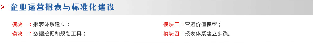 企業(yè)運營報表與標(biāo)準(zhǔn)化建設(shè)