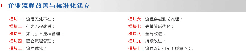 企業(yè)流程改善與標(biāo)準(zhǔn)化建立